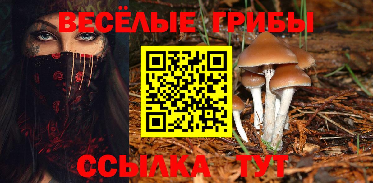 наркота  Псилоцибиновые грибы Psilocybine cubensis  Вход с VPN  Красноармейск 