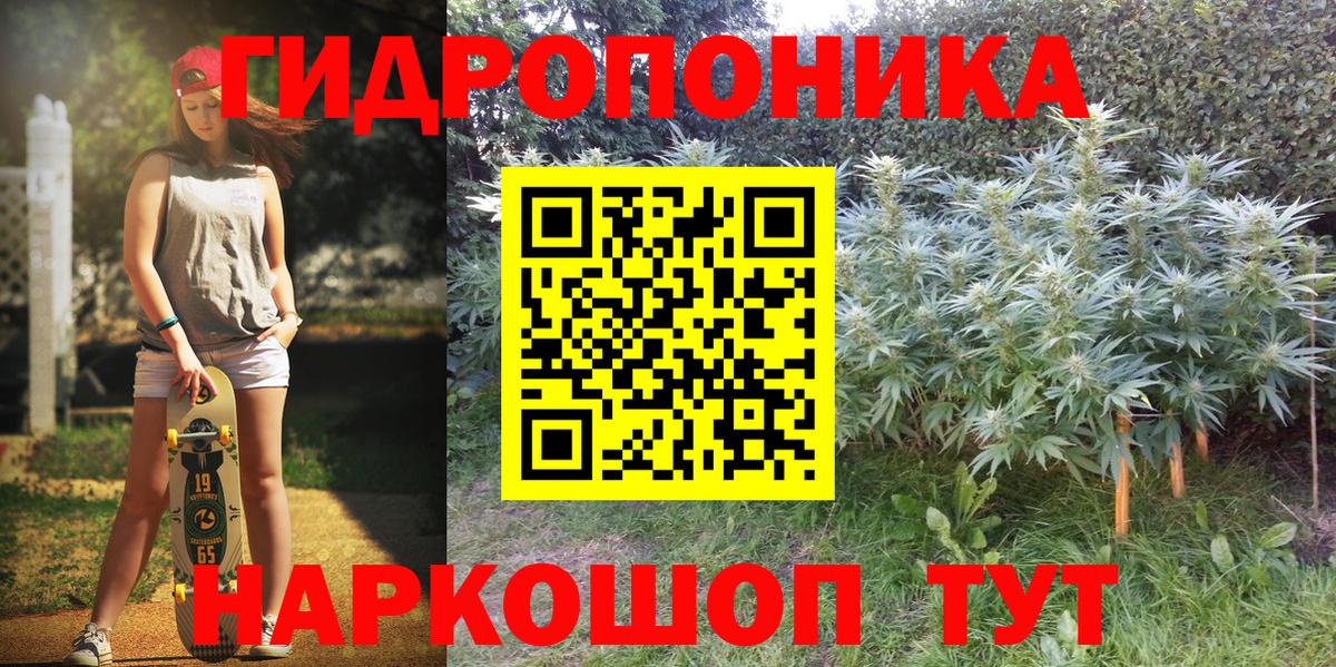 Канабис план Красноармейск